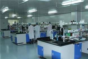 天雅酵素原液貼牌加工 專業賦能，助您打造高品質酵素產品