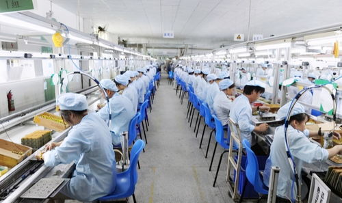 破除電子廠迷思 從“自殺式毀滅人生”到電器輔件銷售的職業轉型之路